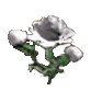 peony_herb_sets_shenmue_3_wiki_guide_83px